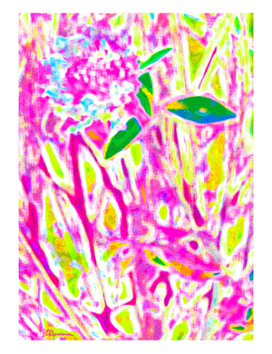 cE pink, white border, CROP 20x26, SMALL 300